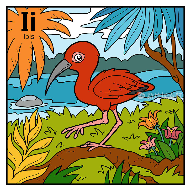 儿童彩色字母I (ibis)